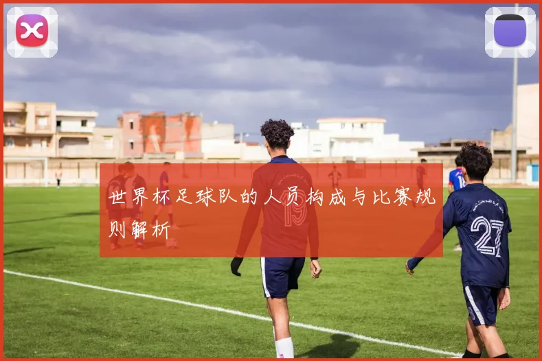 世界杯足球队的人员构成与比赛规则解析