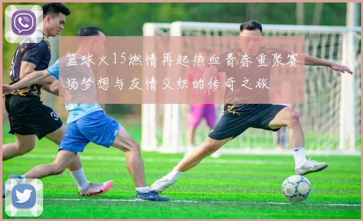 篮球火15燃情再起热血青春重聚赛场梦想与友情交织的传奇之旅
