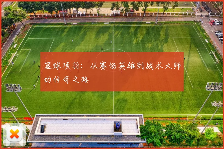 篮球项羽：从赛场英雄到战术大师的传奇之路