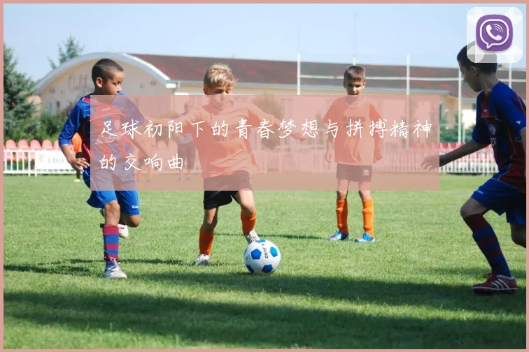足球初阳下的青春梦想与拼搏精神的交响曲