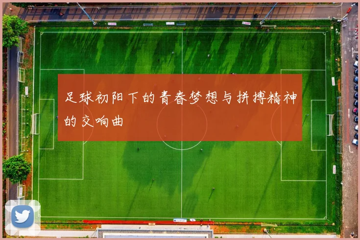足球初阳下的青春梦想与拼搏精神的交响曲