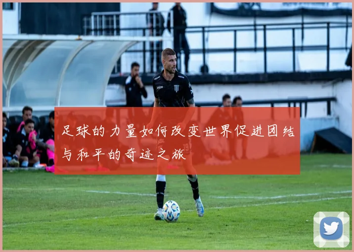 足球的力量如何改变世界促进团结与和平的奇迹之旅